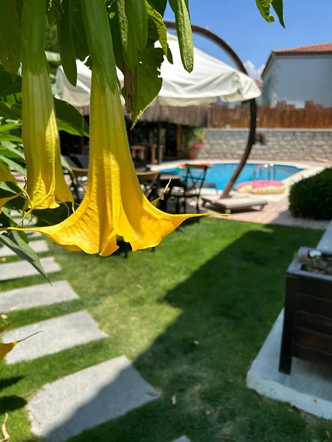 Pupa Alacati Butik Otel Çeşme Hotel
