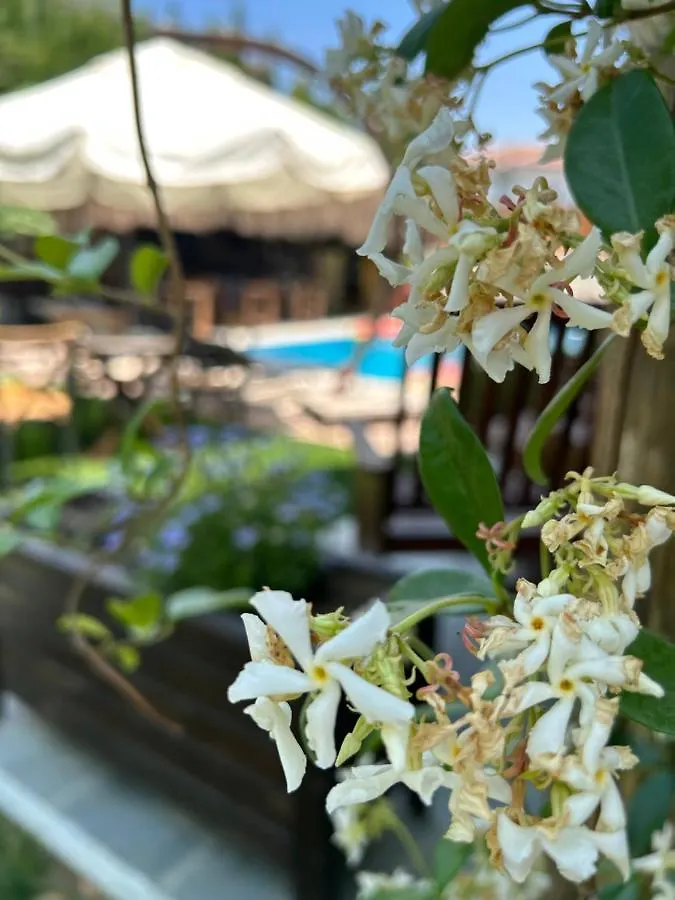 Hotel Pupa Alacati Butik Otel Çeşme